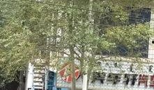 临城爆料最新,揭秘最新热点事件背后的真相